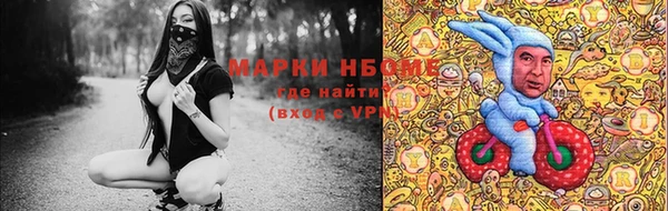 прущие грибы Аркадак